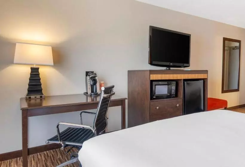 スタンダードルーム, Comfort Inn & Suites Danbury Bethel