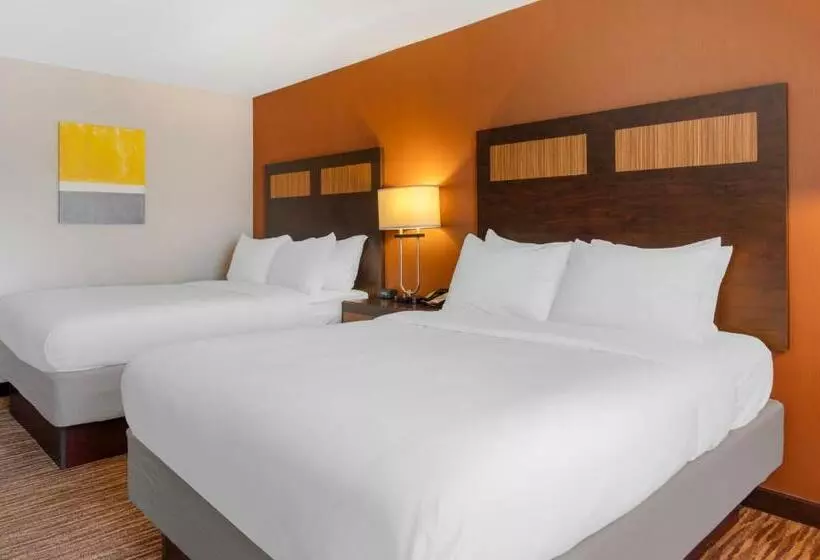 スタンダードルーム, Comfort Inn & Suites Danbury Bethel