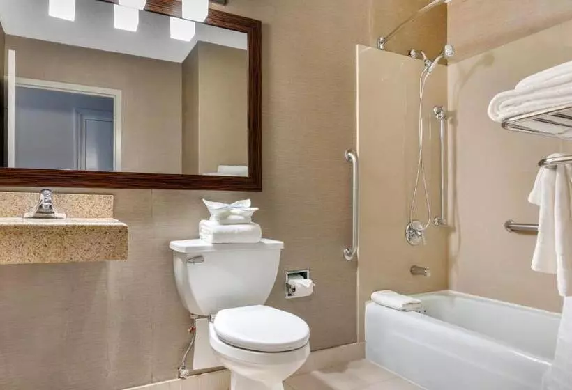 スタンダードルーム, Comfort Inn & Suites Danbury Bethel