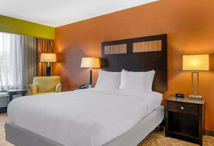 スタンダードルーム, Comfort Inn & Suites Danbury Bethel