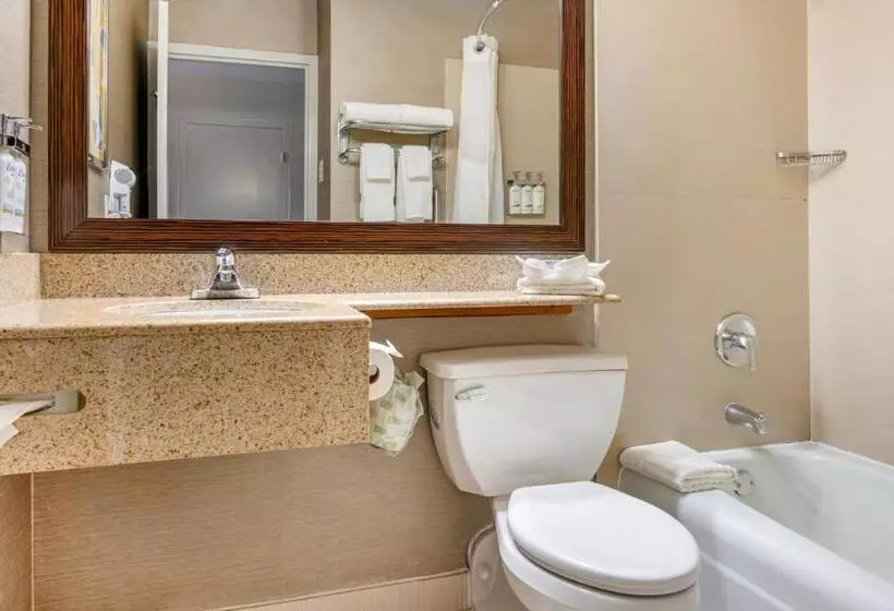 キングサイズベッドのスタンダードルーム, Comfort Inn & Suites Danbury Bethel
