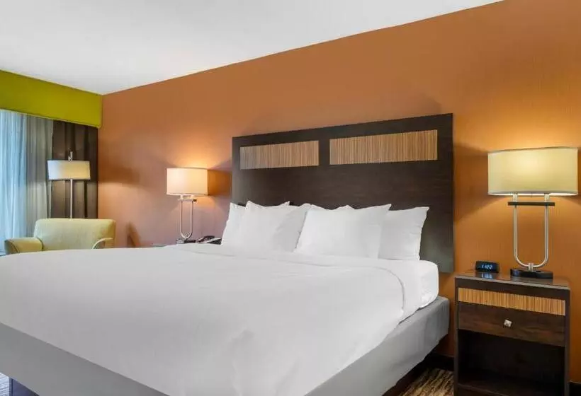 キングサイズベッドのスタンダードルーム, Comfort Inn & Suites Danbury Bethel