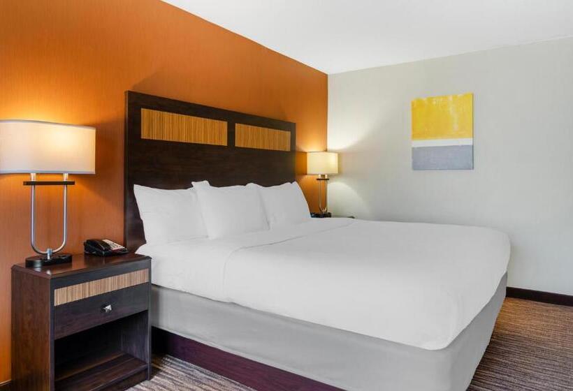 اتاق استاندارد با تخت بزرگ, Comfort Inn & Suites Danbury Bethel