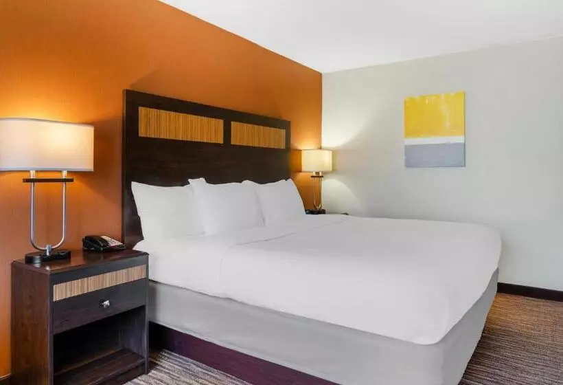 キングサイズベッドのスタンダードルーム, Comfort Inn & Suites Danbury Bethel