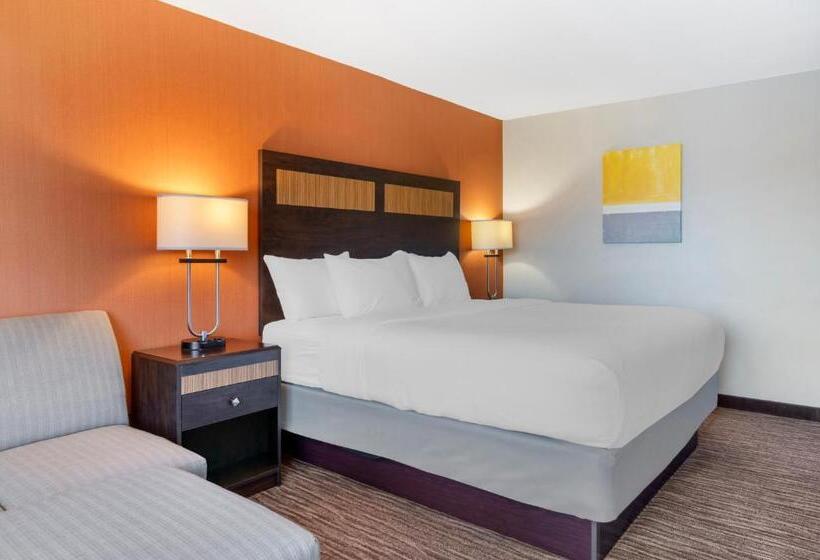 اتاق استاندارد با تخت بزرگ, Comfort Inn & Suites Danbury Bethel