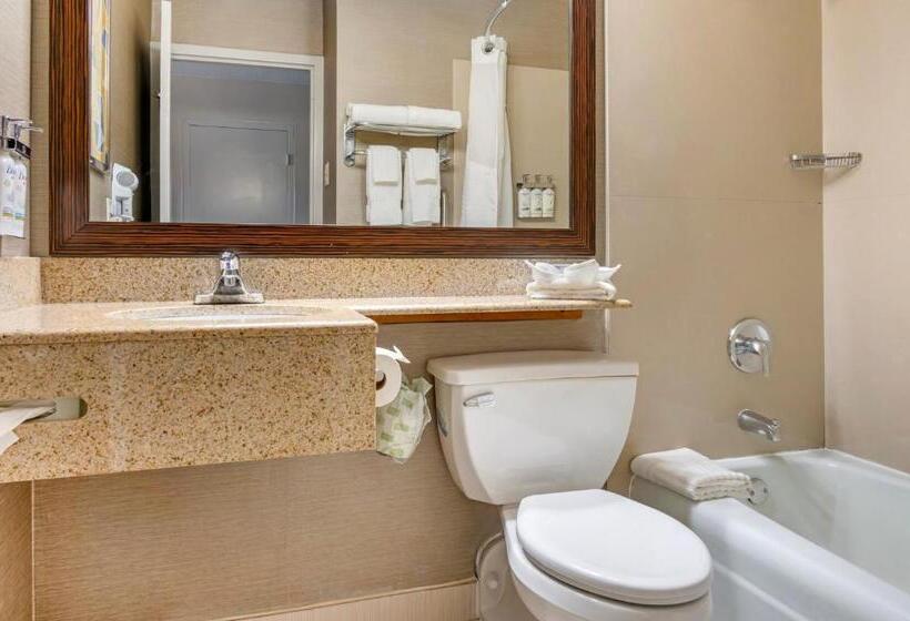 اتاق استاندارد با تخت بزرگ, Comfort Inn & Suites Danbury Bethel