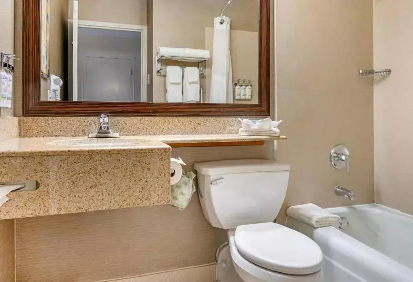 キングサイズベッドのスタンダードルーム, Comfort Inn & Suites Danbury Bethel