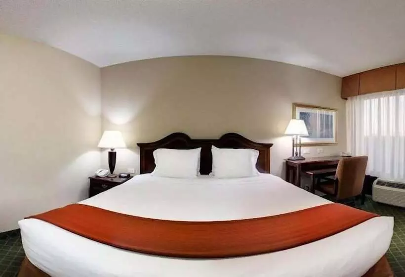 اتاق استاندارد, Holiday Inn Express Hotel & Suites Cape Girardeau I 55, An Ihg