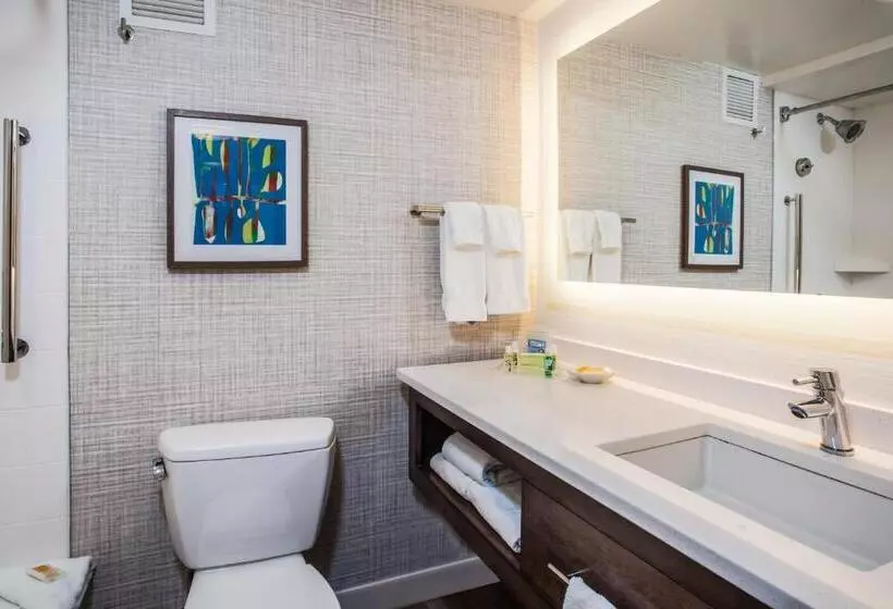 اتاق استاندارد برای معلولان, Holiday Inn Resort Lake George, An Ihg
