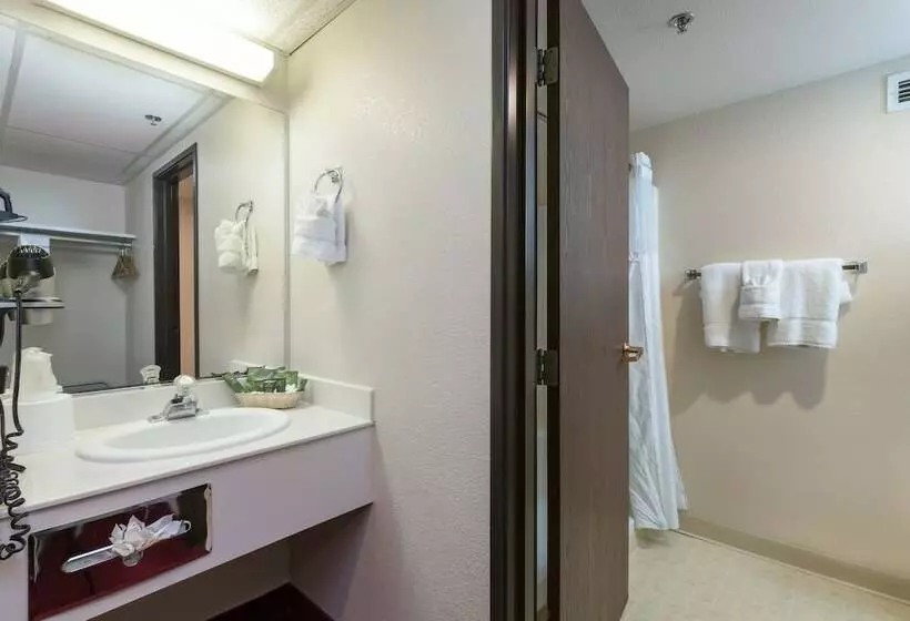 ２ダブルベッドのスタンダードルーム, Hoover Dam Lodge