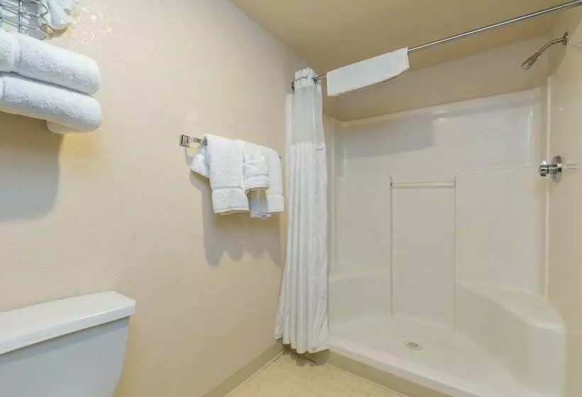 ２ダブルベッドのスタンダードルーム, Hoover Dam Lodge
