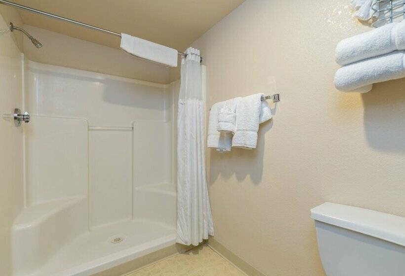 带2个双人床的标准工作室, Hoover Dam Lodge