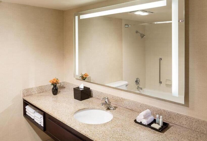 适合残疾人士使用的带超级大床的标准间, Kayenta Monument Valley Inn