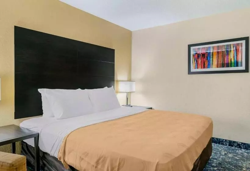 キングサイズベッドのスタンダードルーム, Quality Inn & Suites Banquet Center