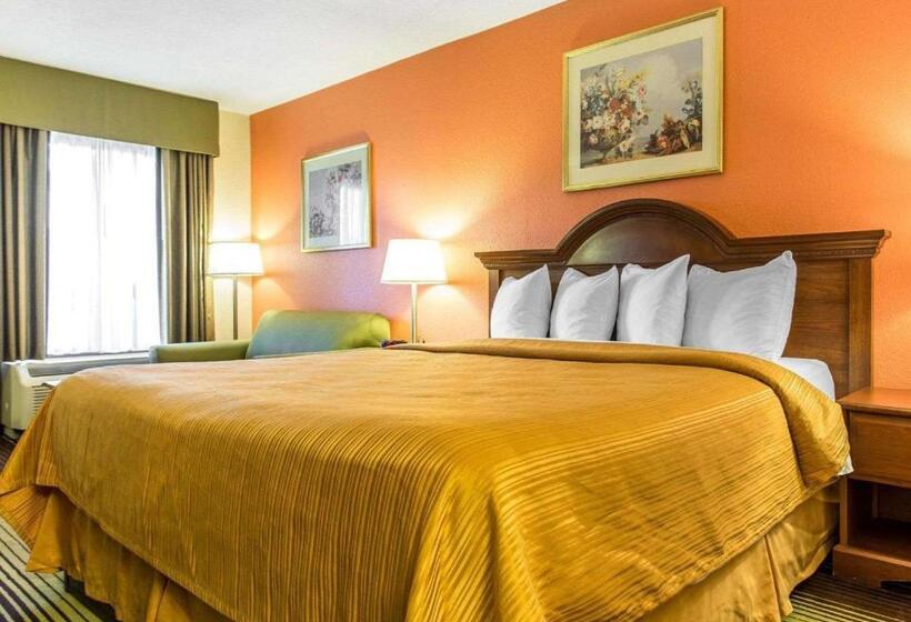 스탠다드 룸 킹사이즈 침대, Quality Inn University