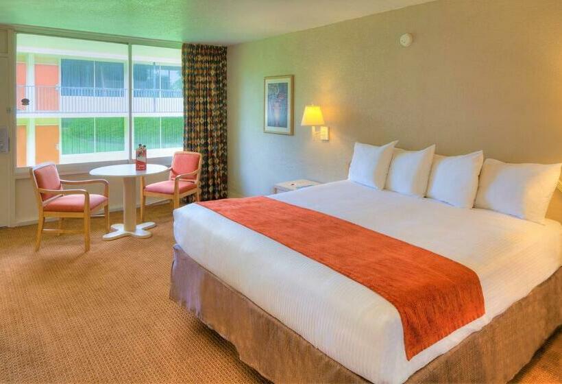 스탠다드 룸 킹사이즈 침대, Ramada By Wyndham Kissimmee Gateway   Free Theme Park Shuttle