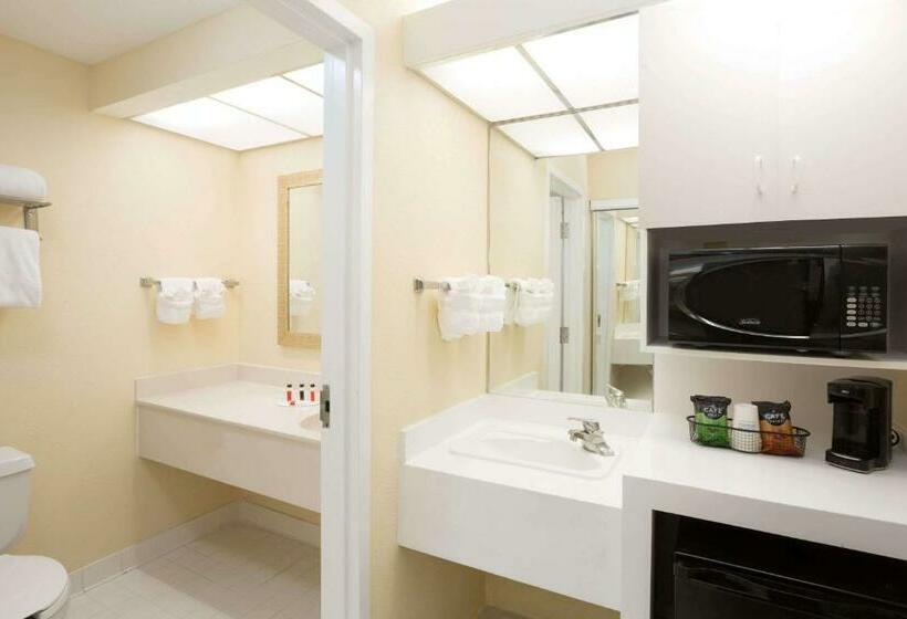 스탠다드 룸 킹사이즈 침대, Ramada By Wyndham Kissimmee Gateway   Free Theme Park Shuttle