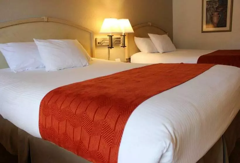 اتاق استاندارد برای معلولان, Ramada By Wyndham Kissimmee Gateway   Free Theme Park Shuttle