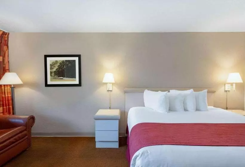 اتاق استاندارد با تخت بزرگ, Ramada By Wyndham Kissimmee Gateway   Free Theme Park Shuttle