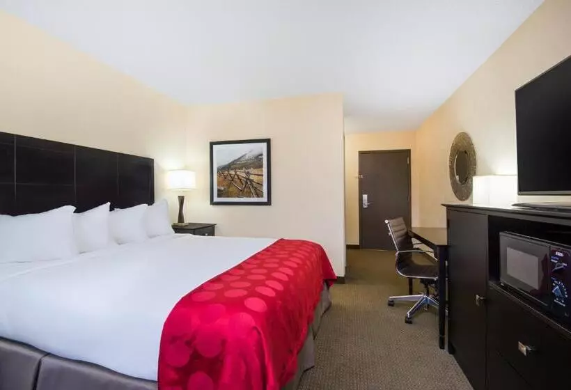 اتاق استاندارد با تخت بزرگ برای معلولان, Red Lion Hotel Gillette