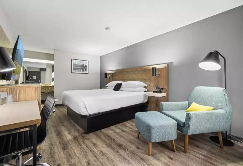 اتاق استاندارد با تخت بزرگ برای معلولان, Red Lion Inn & Suites Deschutes River Bend