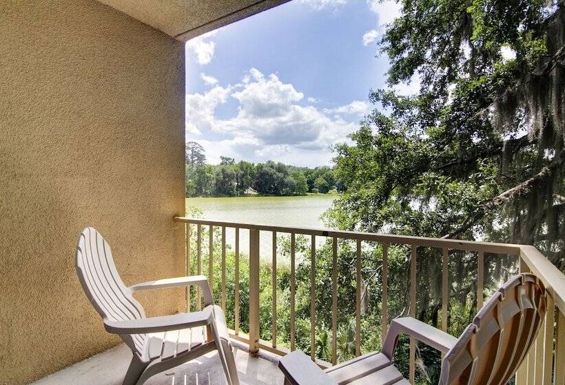 جناح جونيور, Stayable Select Gainesville