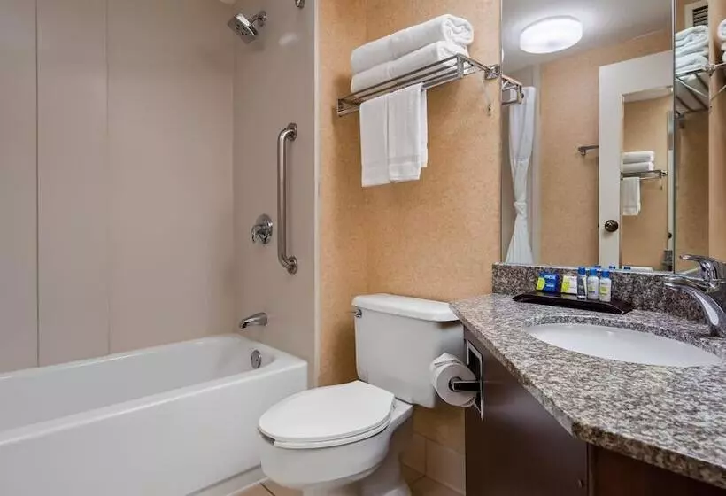 اتاق استاندارد با 2 تخت دوبل, Surestay Plus Hotel By Best Western Chicago Lombard