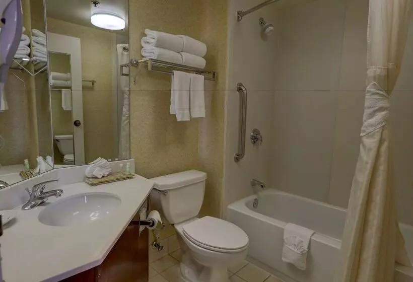 اتاق استاندارد با 2 تخت دوبل, Surestay Plus Hotel By Best Western Chicago Lombard