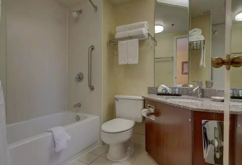 اتاق استاندارد با 2 تخت دوبل, Surestay Plus Hotel By Best Western Chicago Lombard