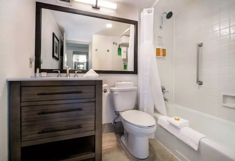 ２ダブルベッドのスタンダードルーム, Holiday Inn Estes Park, An Ihg