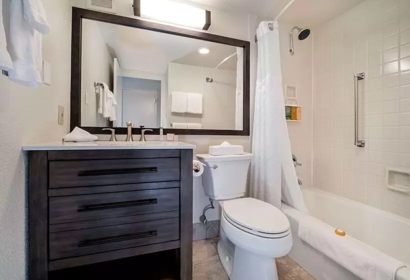 ２ダブルベッドのスタンダードルーム, Holiday Inn Estes Park, An Ihg