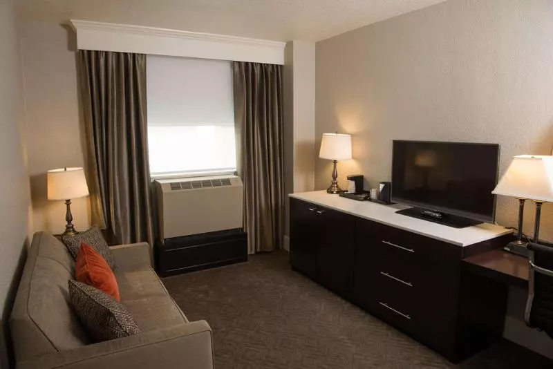 سوئیت با تخت بزرگ, Alex Johnson Rapid City Curio Collection By Hilton