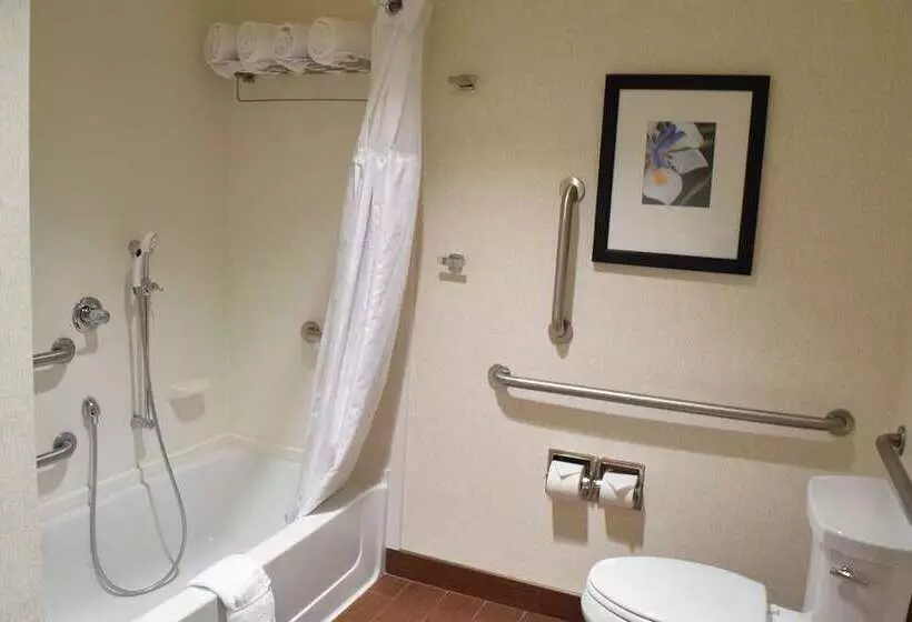 سوئیت جونیور با تخت بزرگ, Alex Johnson Rapid City Curio Collection By Hilton