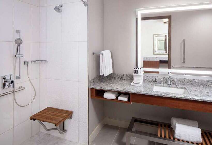 Полулюкс Кровать Кинг, Alex Johnson Rapid City Curio Collection By Hilton