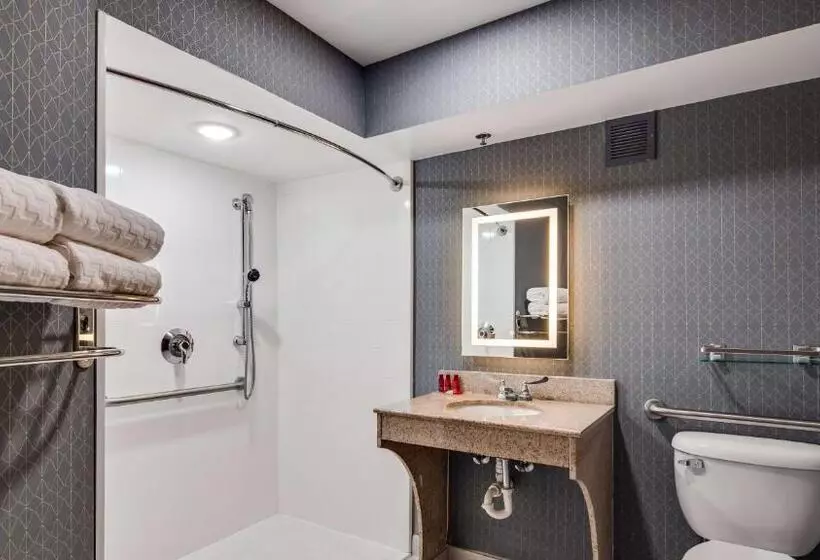 اتاق استاندارد با تخت بزرگ برای معلولان, Best Western Premier Richmond City Gateway