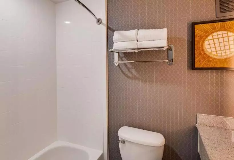 اتاق استاندارد, Best Western Premier Richmond City Gateway
