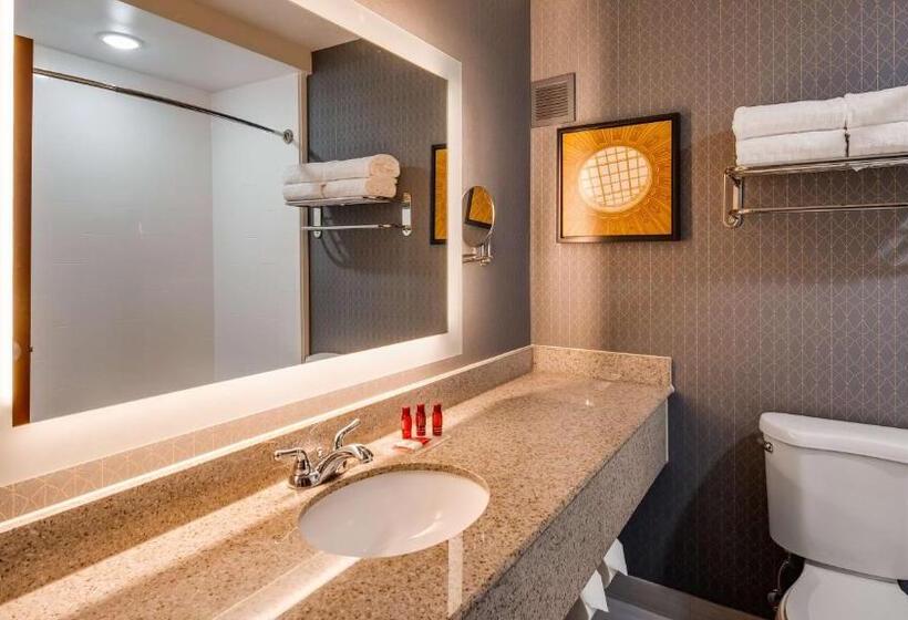 스탠다드 룸 킹사이즈 침대, Best Western Premier Richmond City Gateway