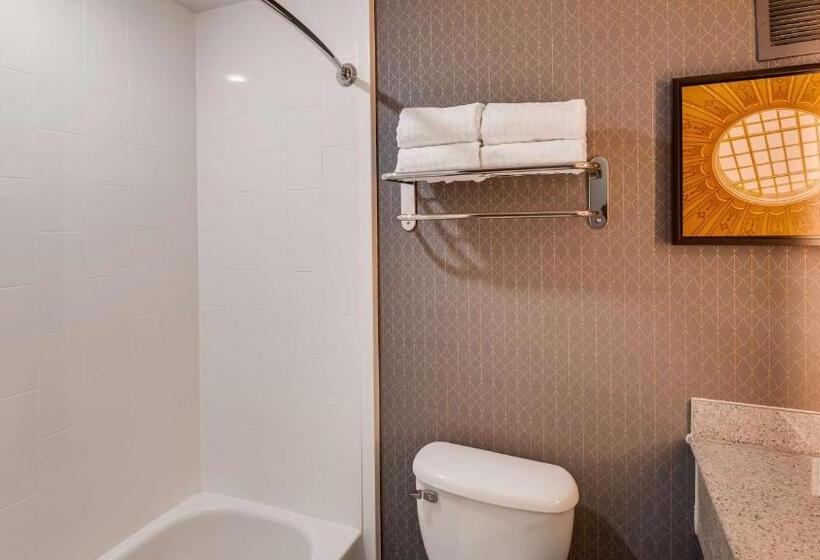 带大床的标准间, Best Western Premier Richmond City Gateway