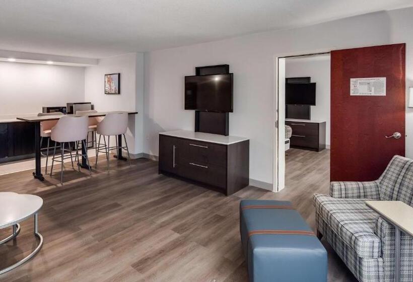 带大床的套房, Best Western Premier Richmond City Gateway