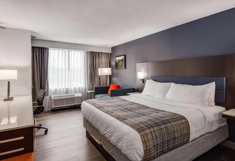 이그제큐티브 룸 킹사이즈 침대, Best Western Premier Richmond City Gateway