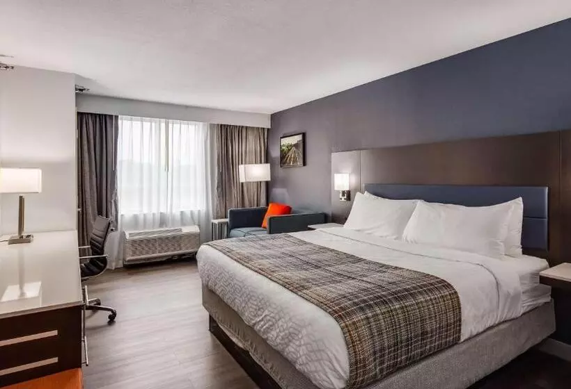 اتاق اجرایی با تخت بزرگ, Best Western Premier Richmond City Gateway
