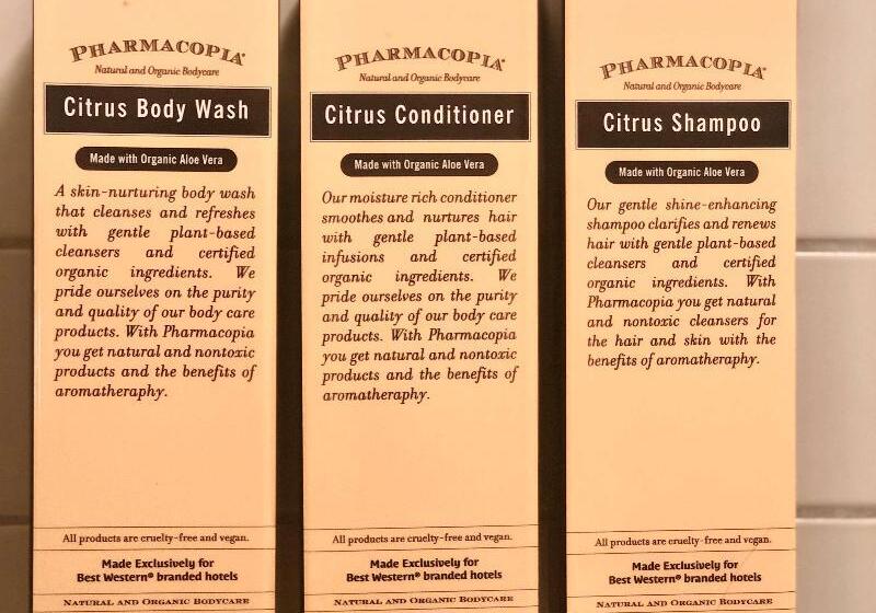 标准间, Best Western Premier Richmond City Gateway