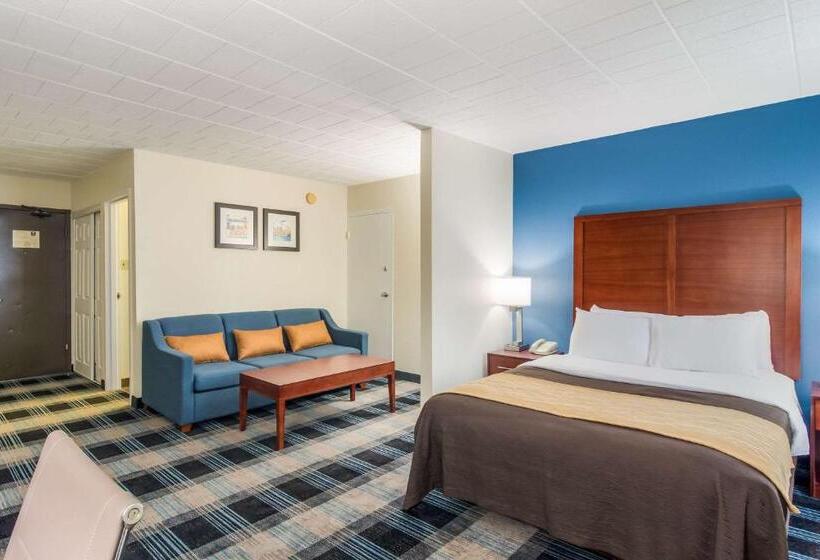 标准间, Comfort Inn & Suites