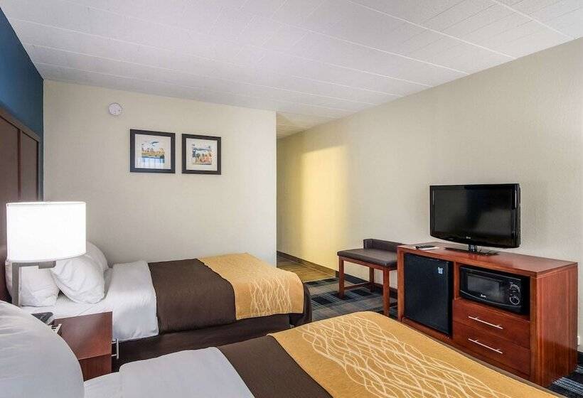 带2个双人床的标准工作室, Comfort Inn & Suites