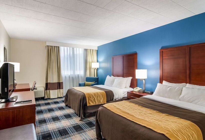 Номер Стандарт 2 Двуспальные Кровати, Comfort Inn & Suites