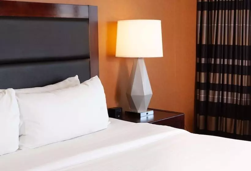 اتاق استاندارد برای معلولان, Doubletree By Hilton Hotel Cleveland Downtown   Lakeside