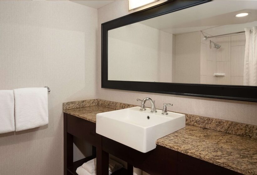 スタンダードルーム, Doubletree By Hilton Hotel Cleveland Downtown   Lakeside