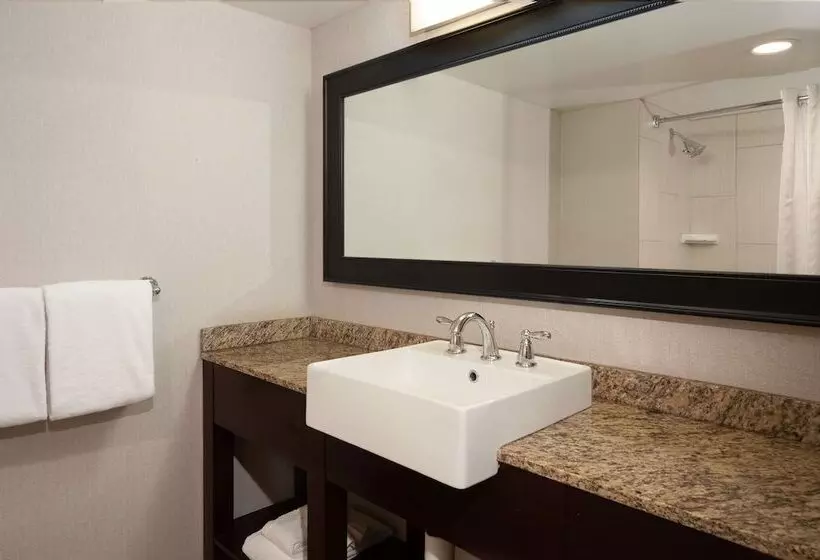 اتاق استاندارد, Doubletree By Hilton Hotel Cleveland Downtown   Lakeside