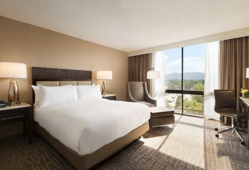 이그제큐티브 룸, Hilton Fort Collins
