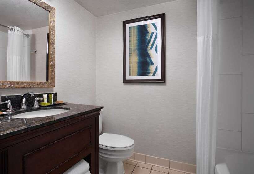 스탠다드 룸 킹사이즈 침대, Hilton Fort Collins